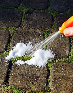 lawn mowing services wyndham vale
